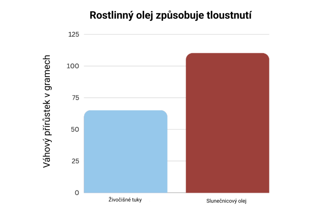 Rostlinn&yacute; olej způsobuje tloustnut&iacute;